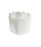 P40 x 105SC - Paper Daisy Cup 25g