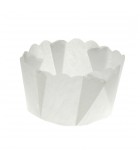 P50 x 115SC - Paper Daisy White 45g