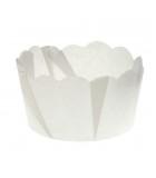 P60 x 140 SC - Paper Daisy Cup 75g