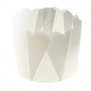 P60 x 175SC - Paper Daisy Cup 120g